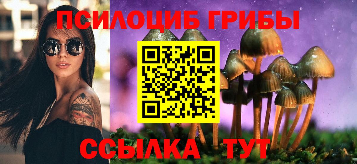 Галлюциногенные грибы прущие грибы  Вход с VPN  Амурск 