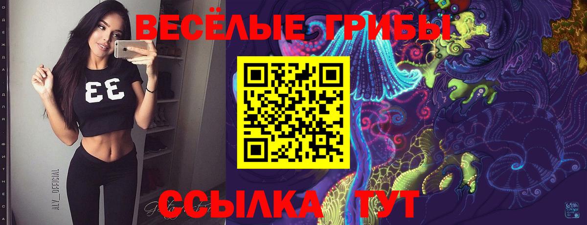 Галлюциногенные грибы мухоморы Амурск